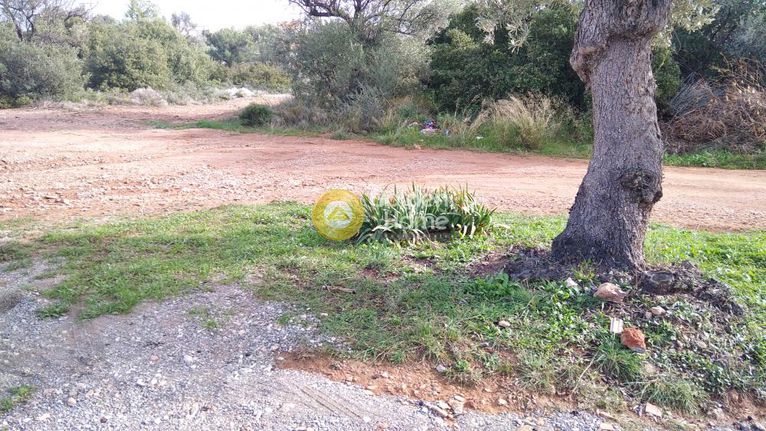 Land plot 580 sqm for sale, Athens - East, Paiania