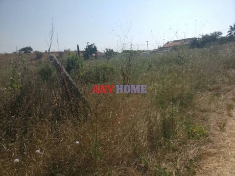 Οικόπεδο 1.380 τ.μ. για πώληση
