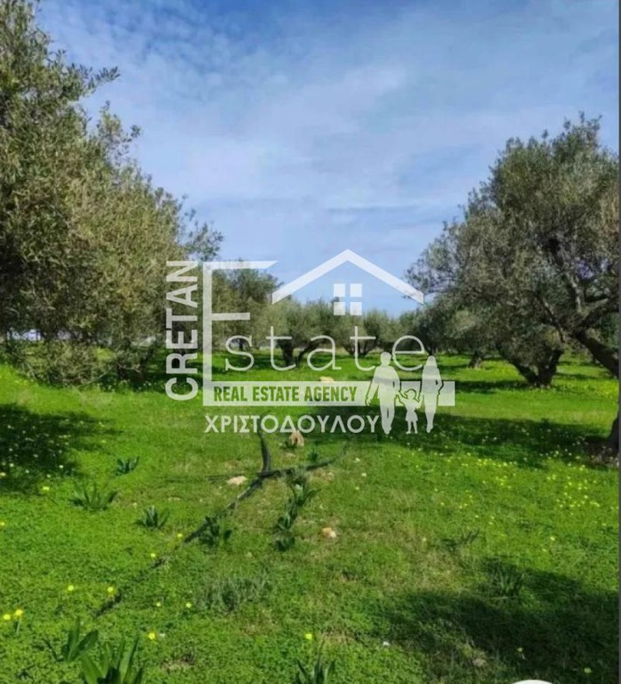 Οικόπεδο 6.380 τ.μ. πρός πώληση, Ν. Λασιθίου, Βραχάσι