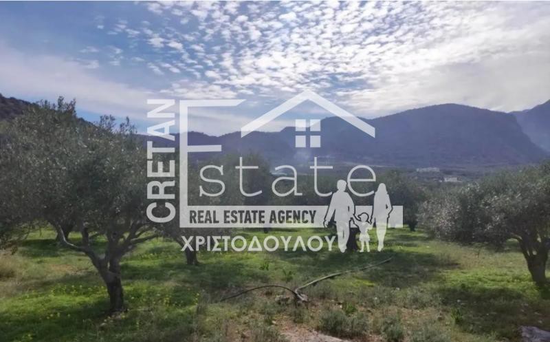 Οικόπεδο 6.380 τ.μ. πρός πώληση, Ν. Λασιθίου, Βραχάσι