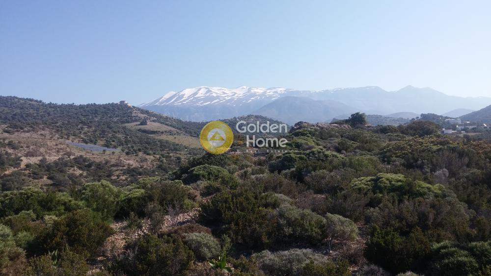 Αγροτεμάχια 4.200 τ.μ. πρός πώληση, Ν. Ρεθύμνου, Λάμπη