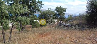 Οικόπεδο 1.100 τ.μ. πρός πώληση, Εύβοια, Δύστος-thumb-6