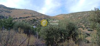 Οικόπεδο 1.100 τ.μ. πρός πώληση, Εύβοια, Δύστος-thumb-5