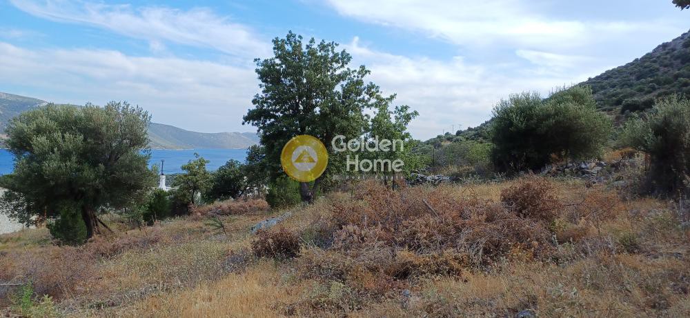 Οικόπεδο 1.100 τ.μ. πρός πώληση, Εύβοια, Δύστος