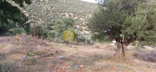 Οικόπεδο 1.100 τ.μ. πρός πώληση, Εύβοια, Δύστος-thumb-8
