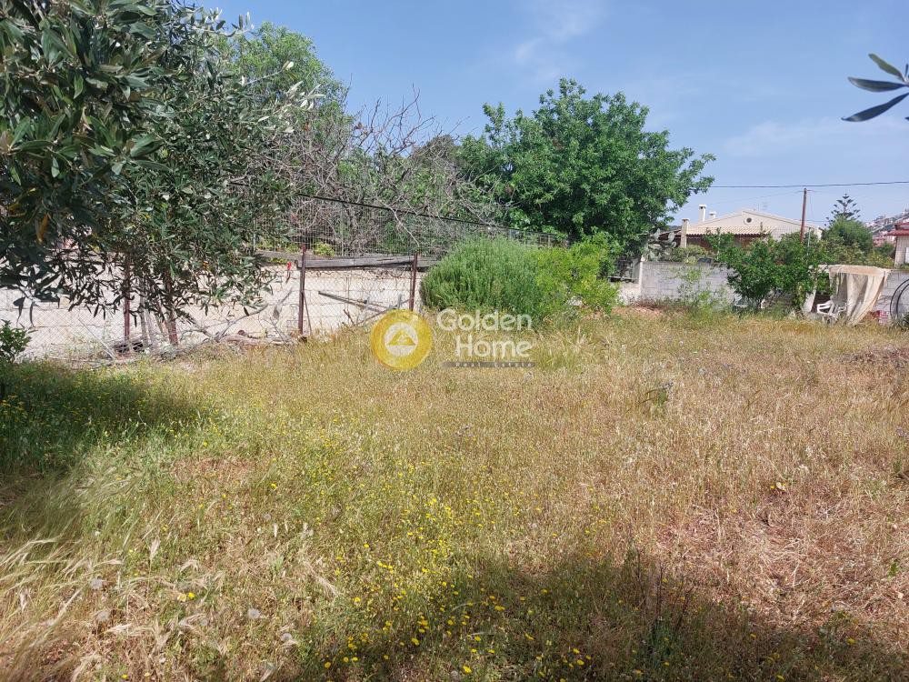 Αγροτεμάχια 300 τ.μ. προς πώληση, Μαύρο Λιθάρι