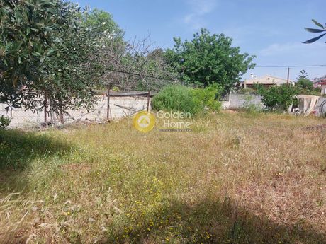 Αγροτεμάχια 300τ.μ. για πώληση-Ανάβυσσος » Μαύρο λιθάρι
