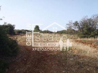 Οικόπεδο 25.850 τ.μ. πρός πώληση, Ν. Λασιθίου, Βραχάσι-thumb-3