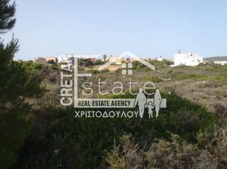 Οικόπεδο 25.850 τ.μ. πρός πώληση, Ν. Λασιθίου, Βραχάσι-thumb-6