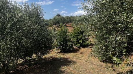 Οικόπεδο 2.122 τ.μ. για πώληση