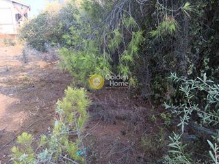 Αγροτεμάχια 600 τ.μ. για πώληση