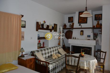 Διαμέρισμα 173τ.μ. για πώληση-Αφέτες » Ζερβόχια