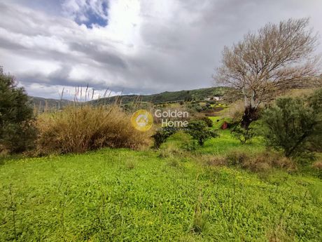 Αγροτεμάχια 1.520τ.μ. για πώληση-Γορτύνα » Βασιλική