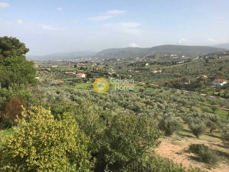 Μονοκατοικία 266τ.μ. για πώληση-Ωρωπός » Νέο συκάμινο
