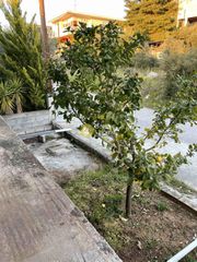 Διαμέρισμα 203 τ.μ. προς πώληση, Έξω Παναγίτσα-thumb-6