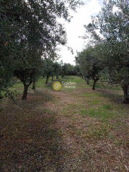 Οικόπεδο 2.006τ.μ. για πώληση-Σικυώνα » Διμηνιό