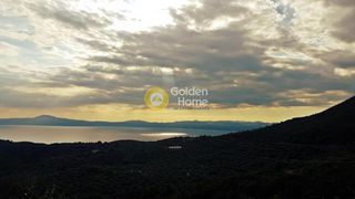 Συγκρότημα διαμερισμάτων 360 τ.μ. για πώληση, Μεσσηνία, Αβία-thumb-19