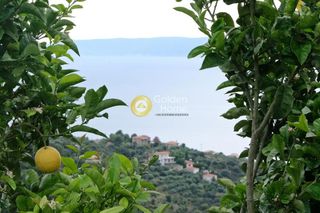 Συγκρότημα διαμερισμάτων 360 τ.μ. για πώληση, Μεσσηνία, Αβία-thumb-23
