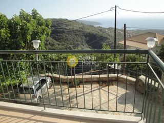 Συγκρότημα διαμερισμάτων 360 τ.μ. για πώληση, Μεσσηνία, Αβία-thumb-21