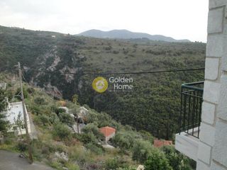 Συγκρότημα διαμερισμάτων 360 τ.μ. για πώληση, Μεσσηνία, Αβία-thumb-22