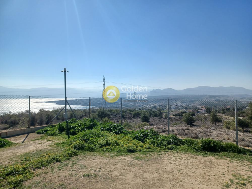Αγροτεμάχια 41.356 τ.μ. προς πώληση, Γαλότα