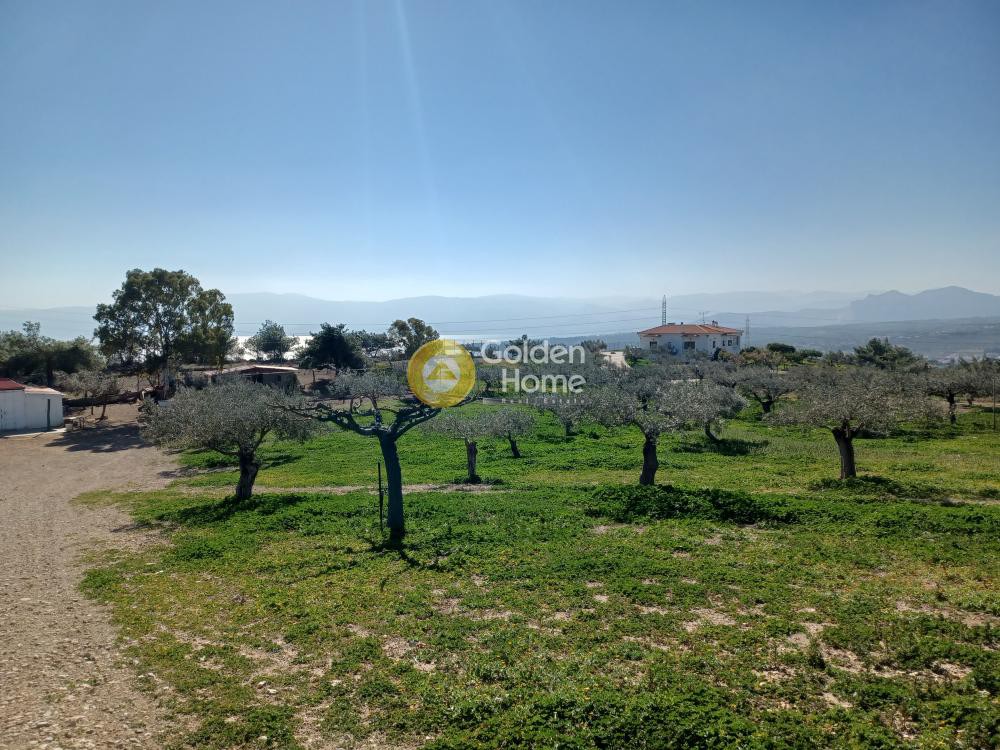 Αγροτεμάχια 41.356 τ.μ. προς πώληση, Γαλότα