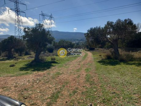 Parcel 3.000sqm for sale-Kalivia Thorikou » Κέντρο