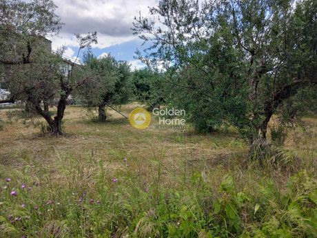 Parcel 2.775sqm for sale-Egialia » Selianitika