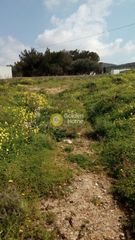 Οικόπεδο 3.000 τ.μ. πρός πώληση, Κυκλάδες, Νάξος-thumb-7