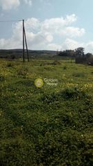 Οικόπεδο 3.000 τ.μ. πρός πώληση, Κυκλάδες, Νάξος-thumb-6
