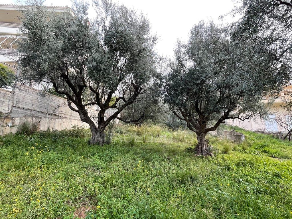 Οικόπεδο 630 τ.μ. προς πώληση, Αχαΐα, Πάτρα