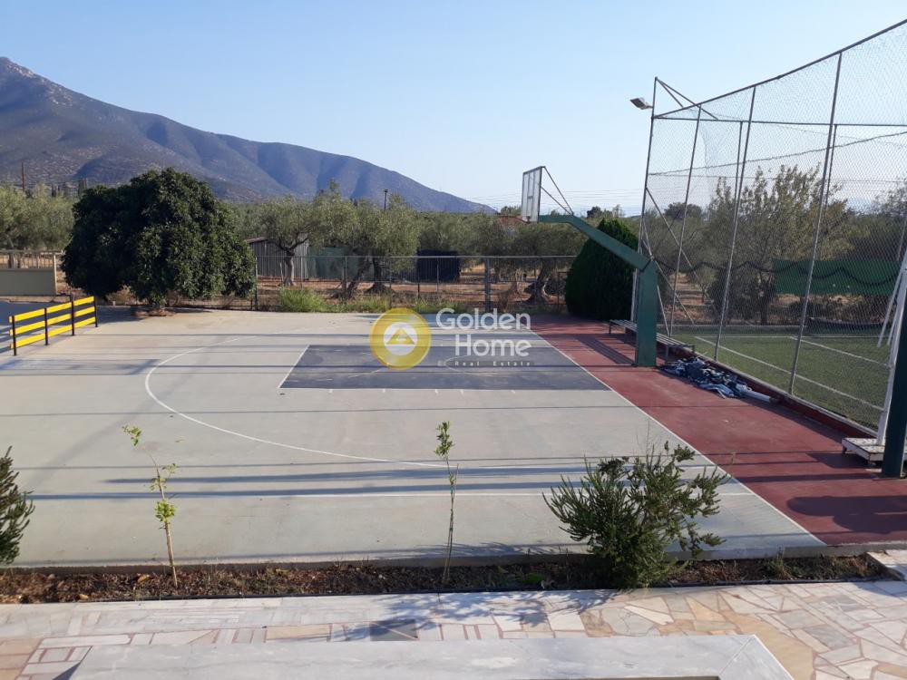 Κτίριο 241 τ.μ. προς πώληση, Αρκαδία, Βόρεια Κυνουρία