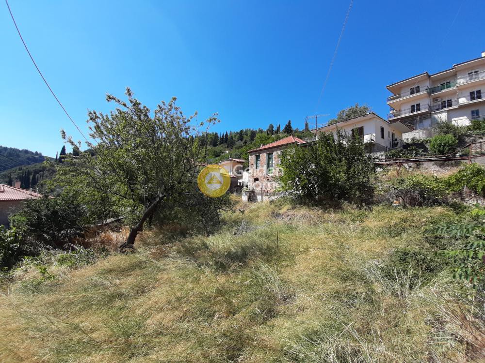Μονοκατοικία 93 τ.μ. προς πώληση, Κέντρο Δαύλειας