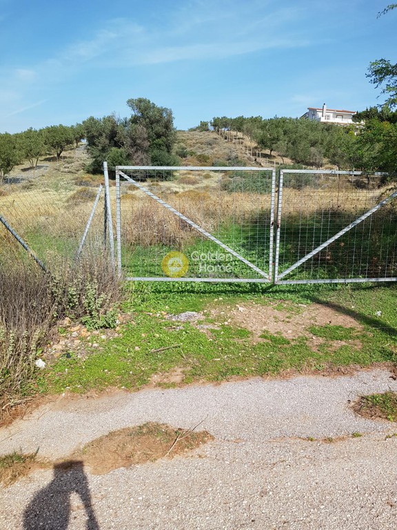 Αγροτεμάχια 4.010 τ.μ. προς πώληση, Κέντρο Καλυβίων Θορικού