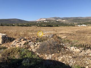 Οικόπεδο 8.765 τ.μ. προς πώληση, Γλυσίδια-thumb-1