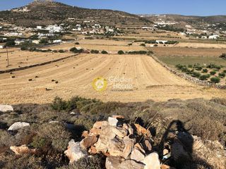 Οικόπεδο 8.765 τ.μ. προς πώληση, Γλυσίδια-thumb-4