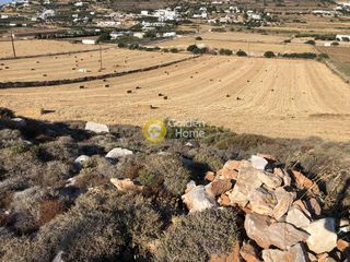 Οικόπεδο 8.765 τ.μ. προς πώληση, Γλυσίδια-thumb-6