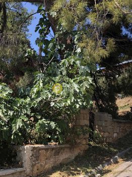 Οικόπεδο 415 τ.μ. για πώληση