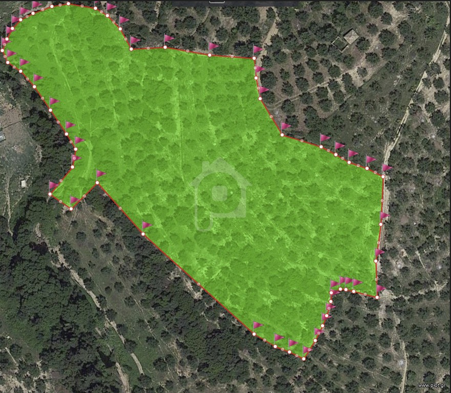Αγροτεμάχια 18.205 τ.μ. για πώληση, Μεσσηνία, Ανδρούσα