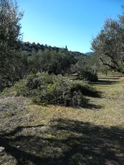 Αγροτεμάχια 18.205 τ.μ. για πώληση, Μεσσηνία, Ανδρούσα-thumb-1
