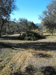 Αγροτεμάχια 18.205 τ.μ. για πώληση, Μεσσηνία, Ανδρούσα-thumb-2