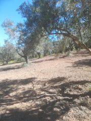 Αγροτεμάχια 18.205 τ.μ. για πώληση, Μεσσηνία, Ανδρούσα-thumb-4