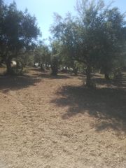 Αγροτεμάχια 18.205 τ.μ. για πώληση, Μεσσηνία, Ανδρούσα-thumb-5