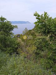 Αγροτεμάχια 10.865 τ.μ. για πώληση