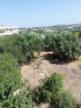 Οικόπεδο 1.150τ.μ. για πώληση-Γούβες » Άγιος ιωάννης