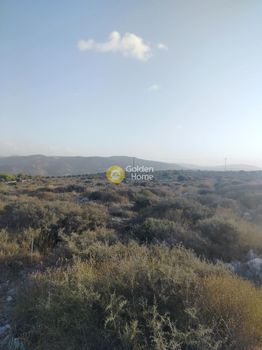 Οικόπεδο 4.334τ.μ. για πώληση-Γούβες » Σκοτεινό