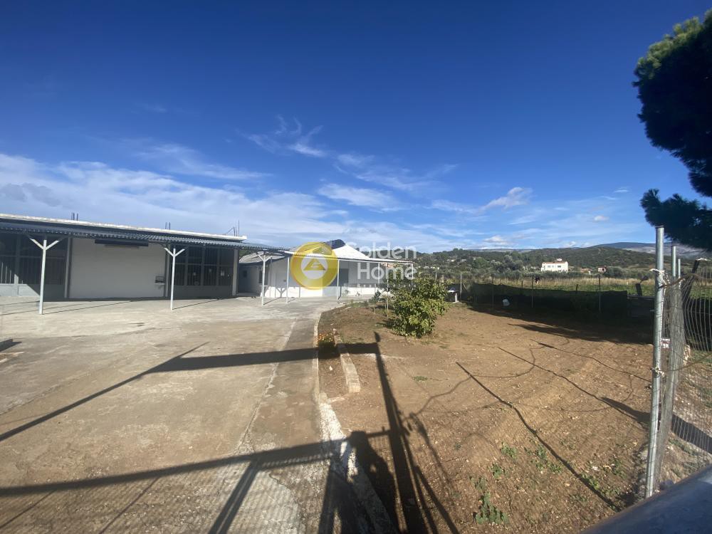 Κτίριο 508 τ.μ. προς πώληση, Ψαχνά