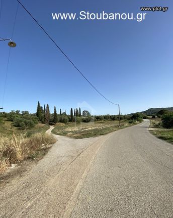 Οικόπεδο 3.001 τ.μ. για πώληση, Ν. Ηλείας, Πηνεία