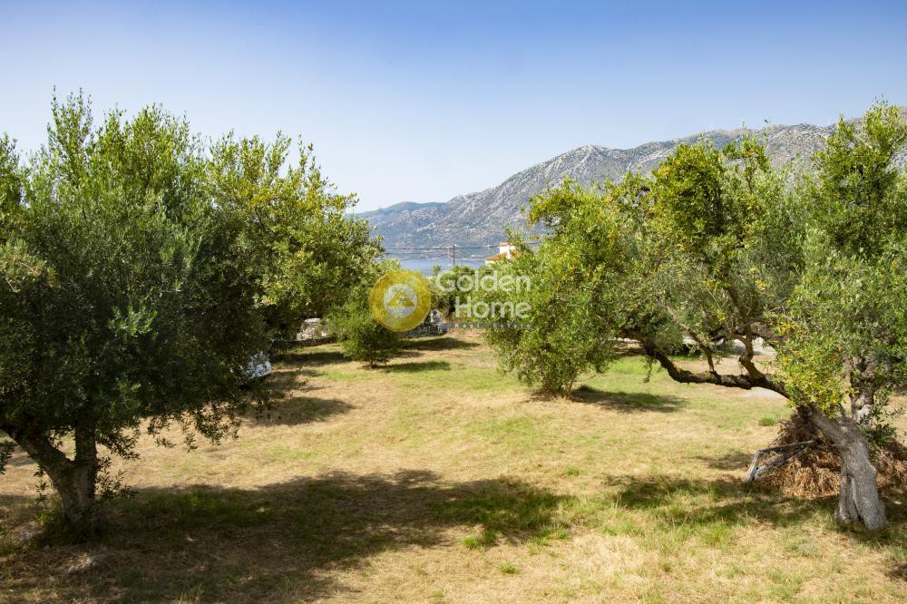 Συγκρότημα διαμερισμάτων 311 τ.μ. προς πώληση, Κότρωνας