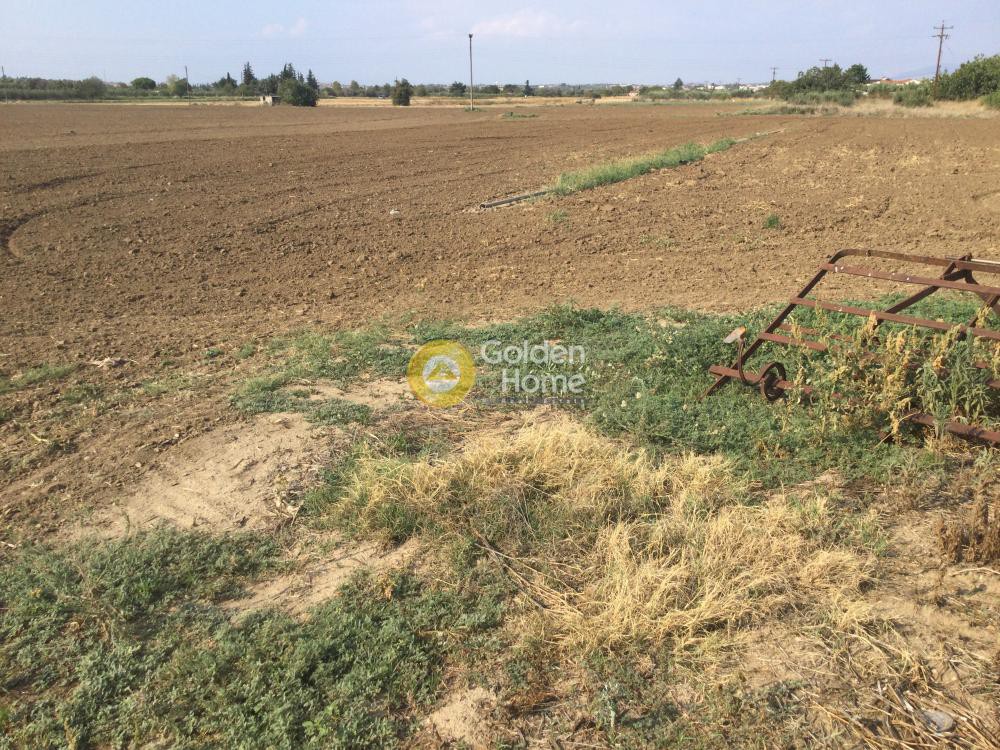 Αγροτεμάχια 4.200 τ.μ. προς πώληση, Πύργος Επανομής
